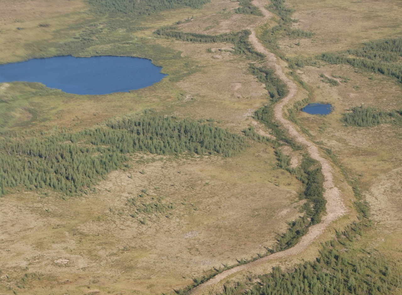 Aerial view of Zmiyiv Ramparts — ancient earthwork fortifications stretching across Ukrainian landscape